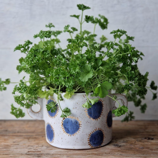 Bubble planter with handles