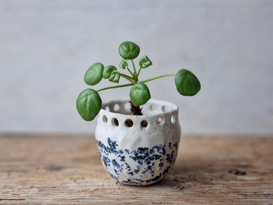 Succulent planter // Mini planter Nr. 3