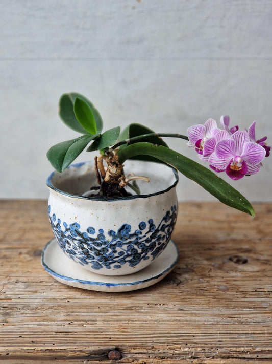 Indoor/outdoor planter No. 5