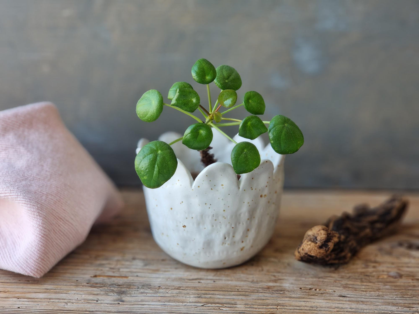 Succulent planter // Mini planter Nr. 2