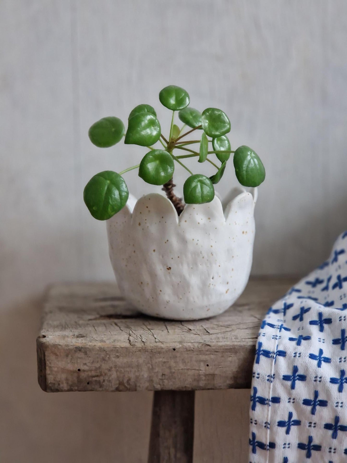 Succulent planter // Mini planter Nr. 2