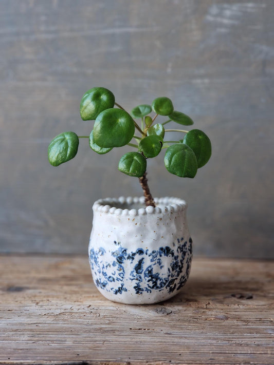 Succulent planter // Mini planter Nr. 1