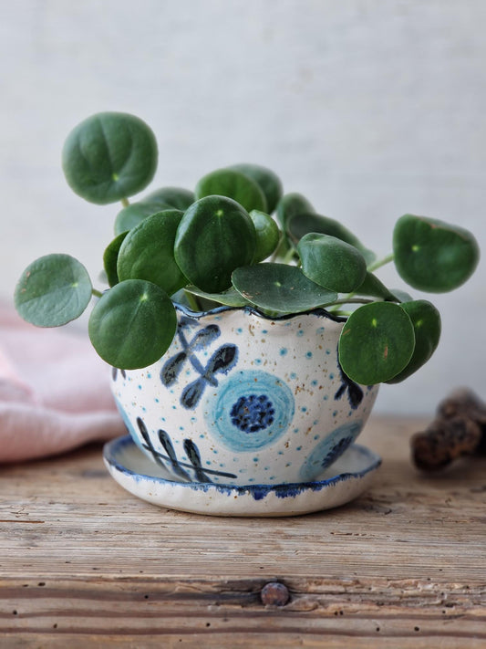 Indoor/outdoor planter Nr. 8