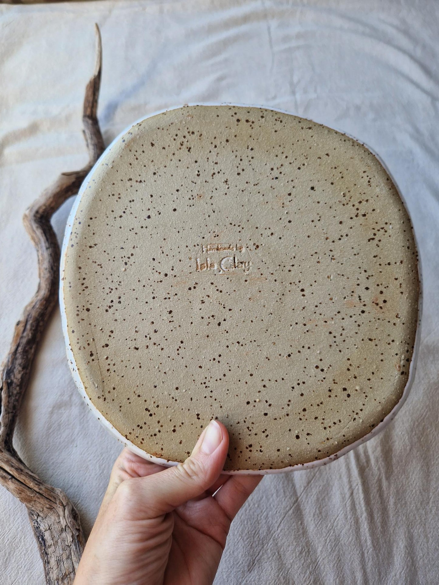 Cactus plate Nr 2
