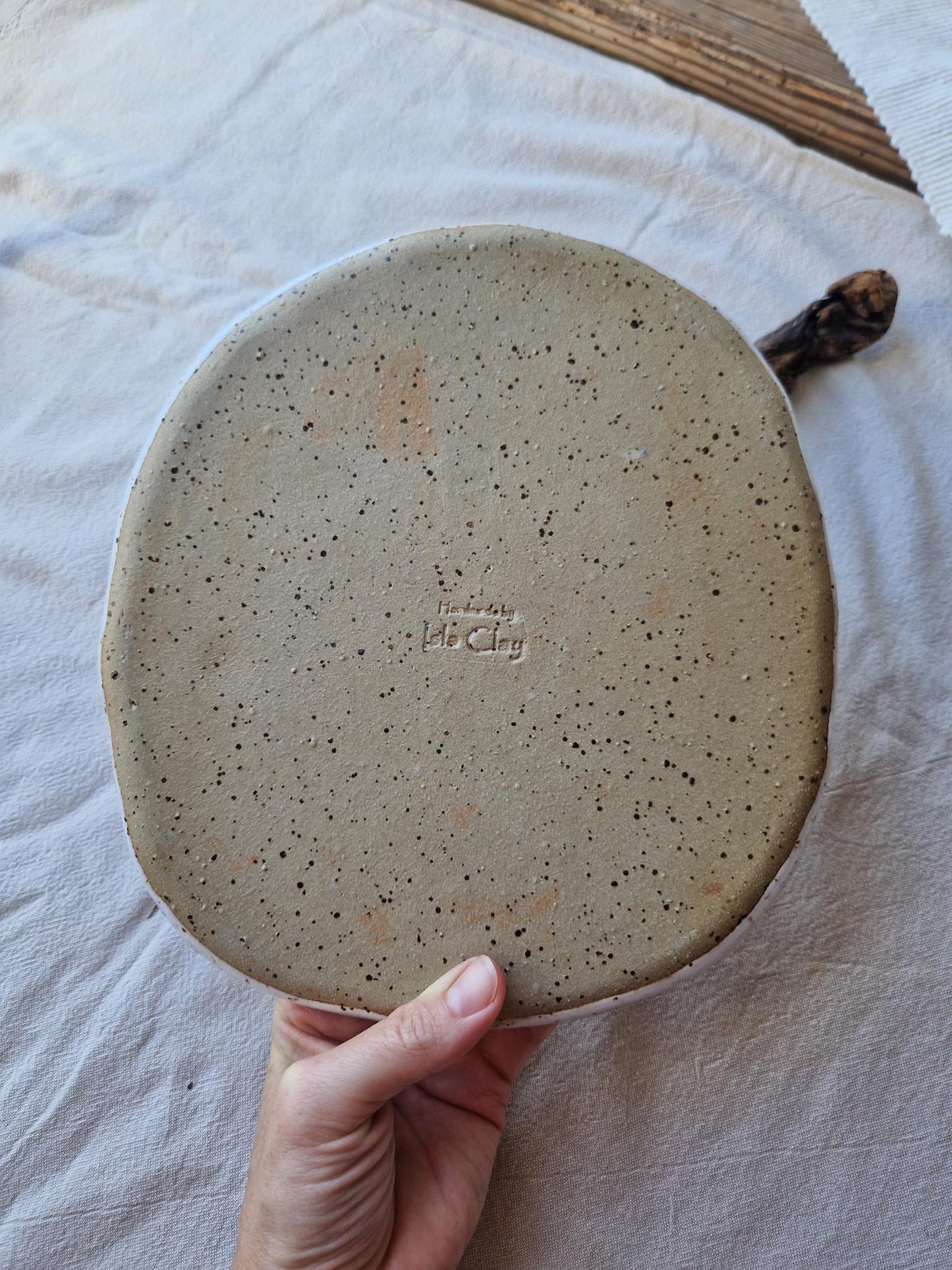 Cactus plate Nr 1