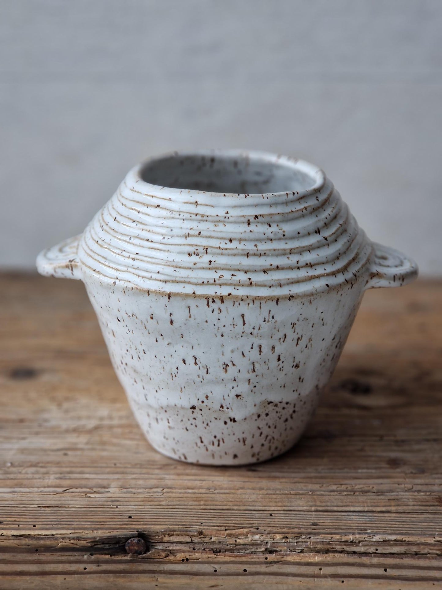 Slightly Flawed: Speckled White Vase