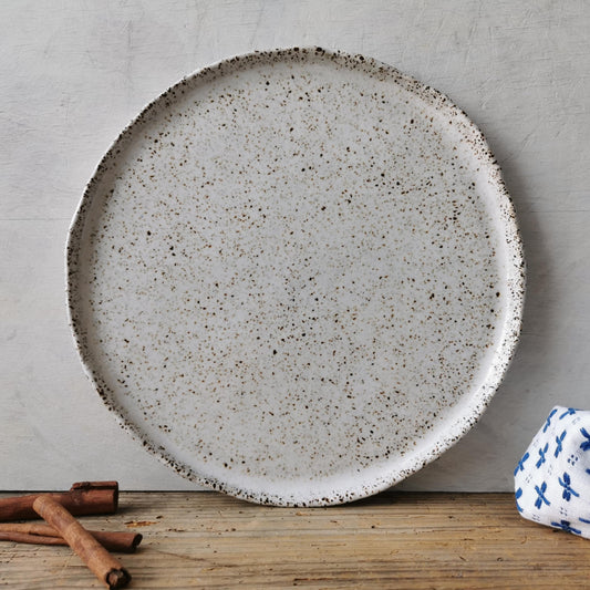 speckled white ceramic dinner plate