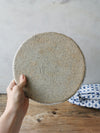 Dinner plate speckled white 11"