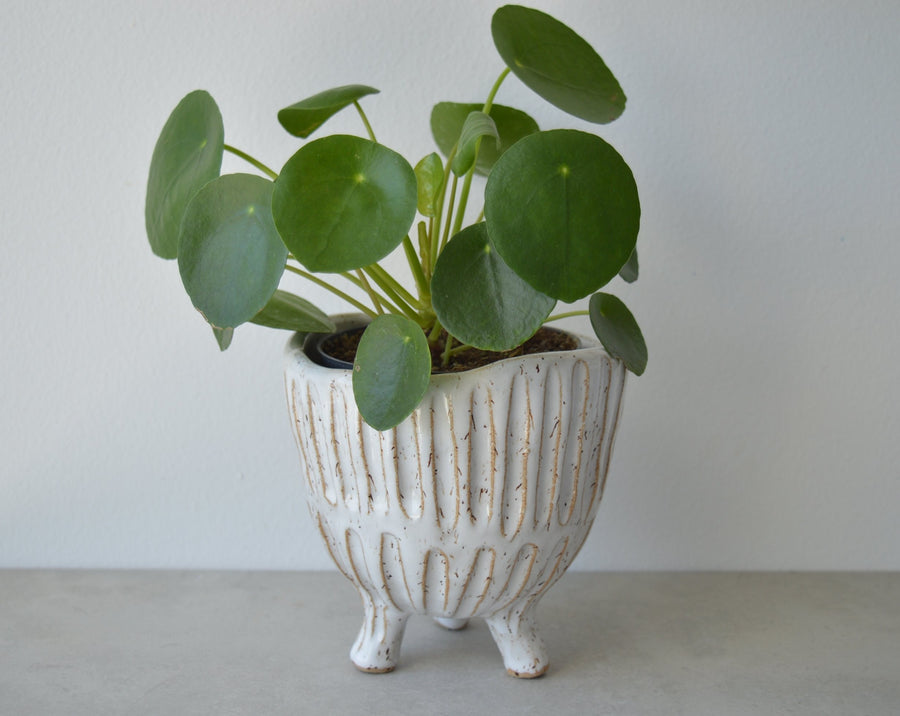 planter with legs
