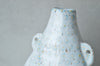 Contemporary oval vase